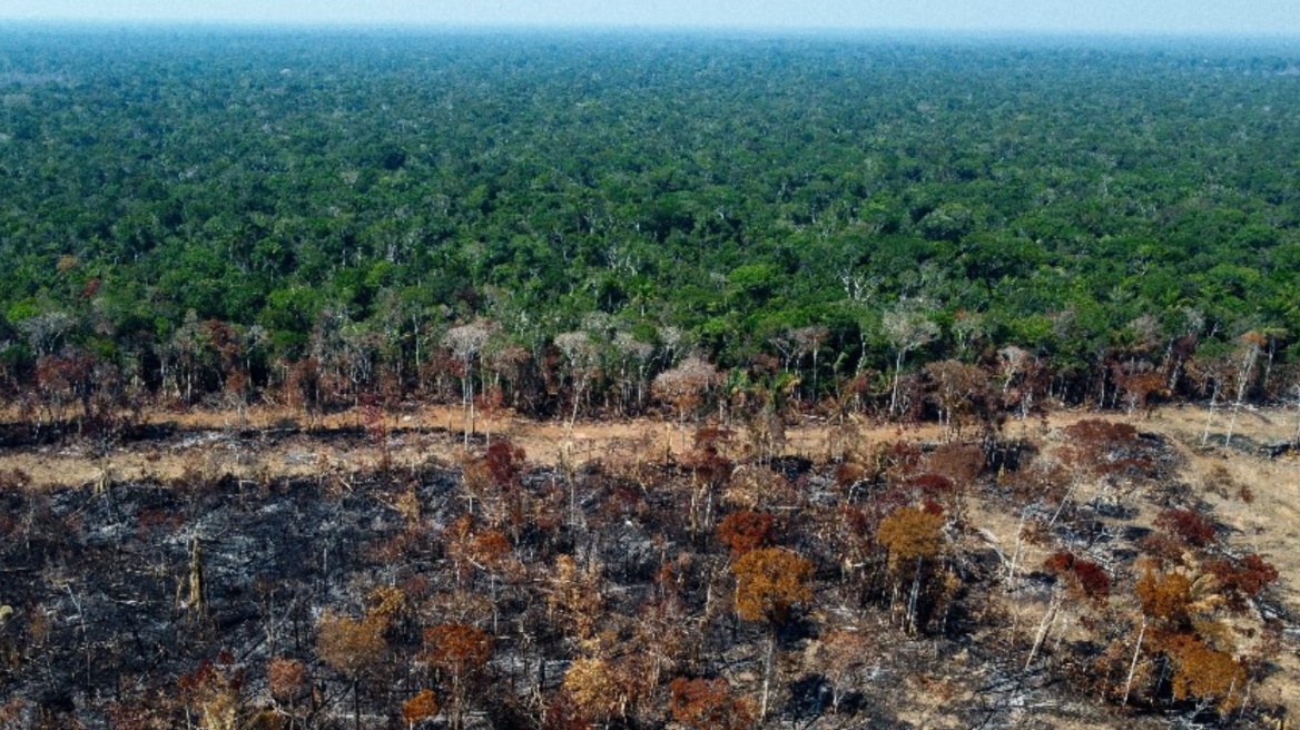 Βραζιλία: Η αποψίλωση του δάσους του Αμαζονίου μειώθηκε κατά το ένα τρίτο και πλέον το 1ο εξάμηνο