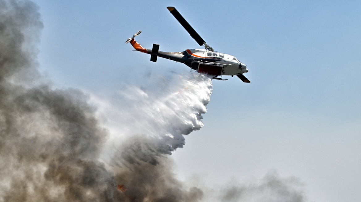 Οριοθετήθηκε άμεσα πυρκαγιά σε δασική έκταση στην Τανάγρα