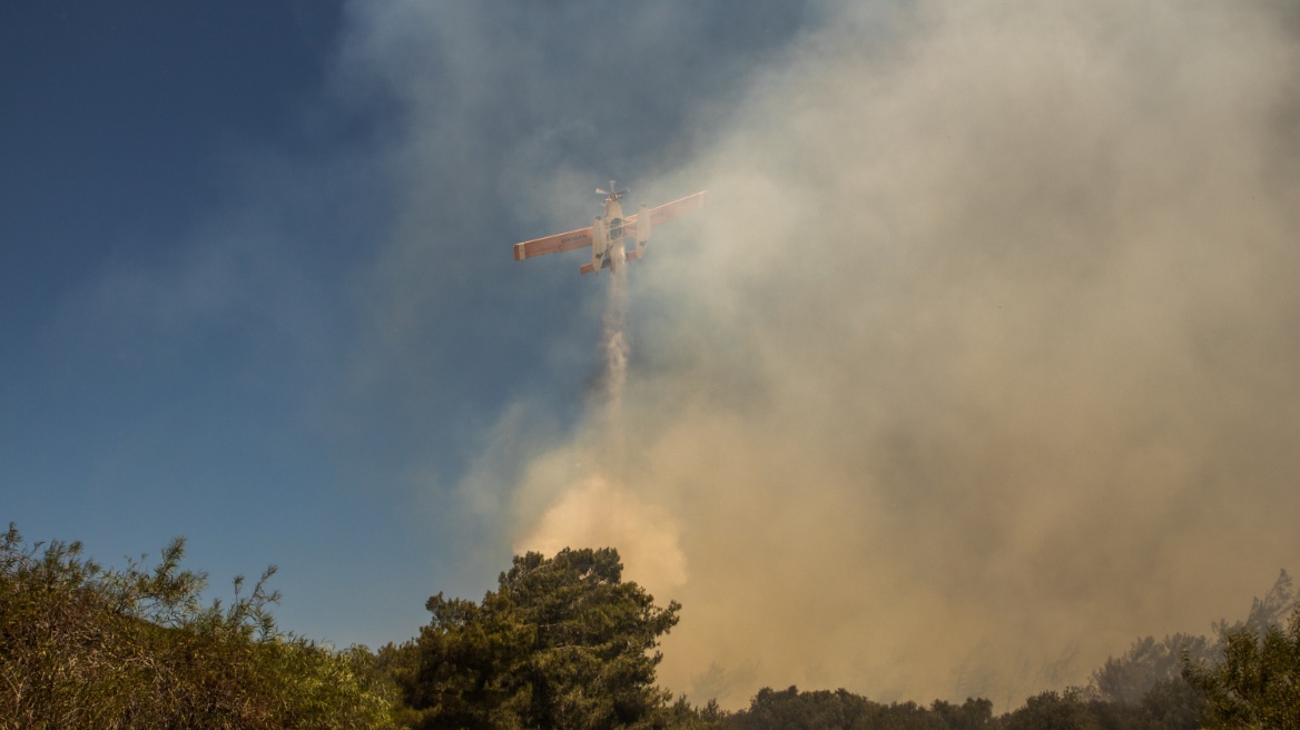 ΕΕ: Οι πυρκαγιές που καταστρέφουν την περιοχή της Μεσογείου απαιτούν άμεση και ενωμένη απάντηση
