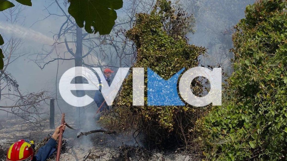 Εύβοια: Υπό μερικό έλεγχο η φωτιά Κύμη