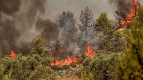 Φωτιά σε δασικής έκταση