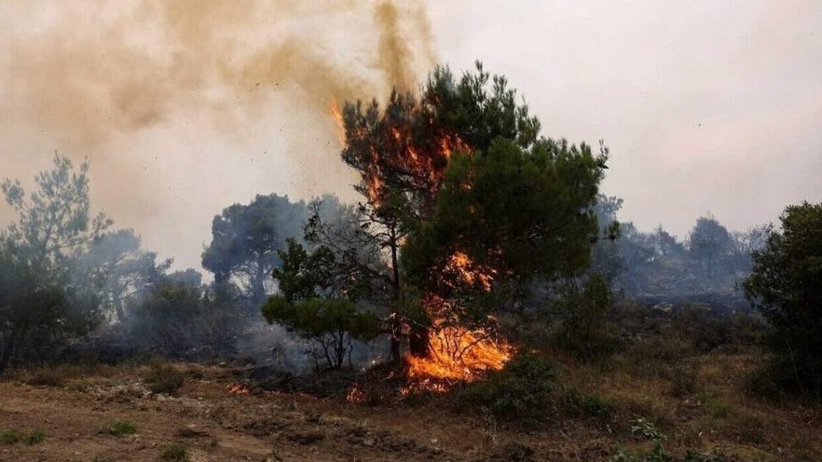 Πυρκαγιές στην Ελλάδα: Η βοήθεια από την Ευρωπαϊκή Ένωση
