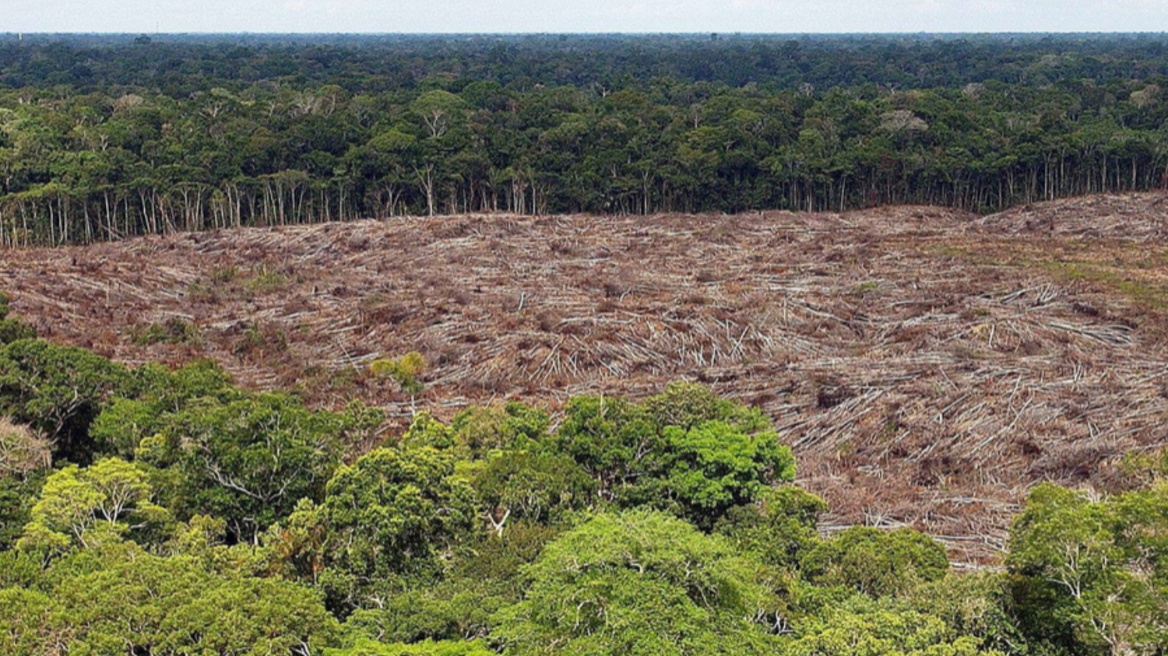 Βραζιλία: Η αποψίλωση του τροπικού δάσους του Αμαζονίου υποτριπλασιάστηκε τον Ιούλιο