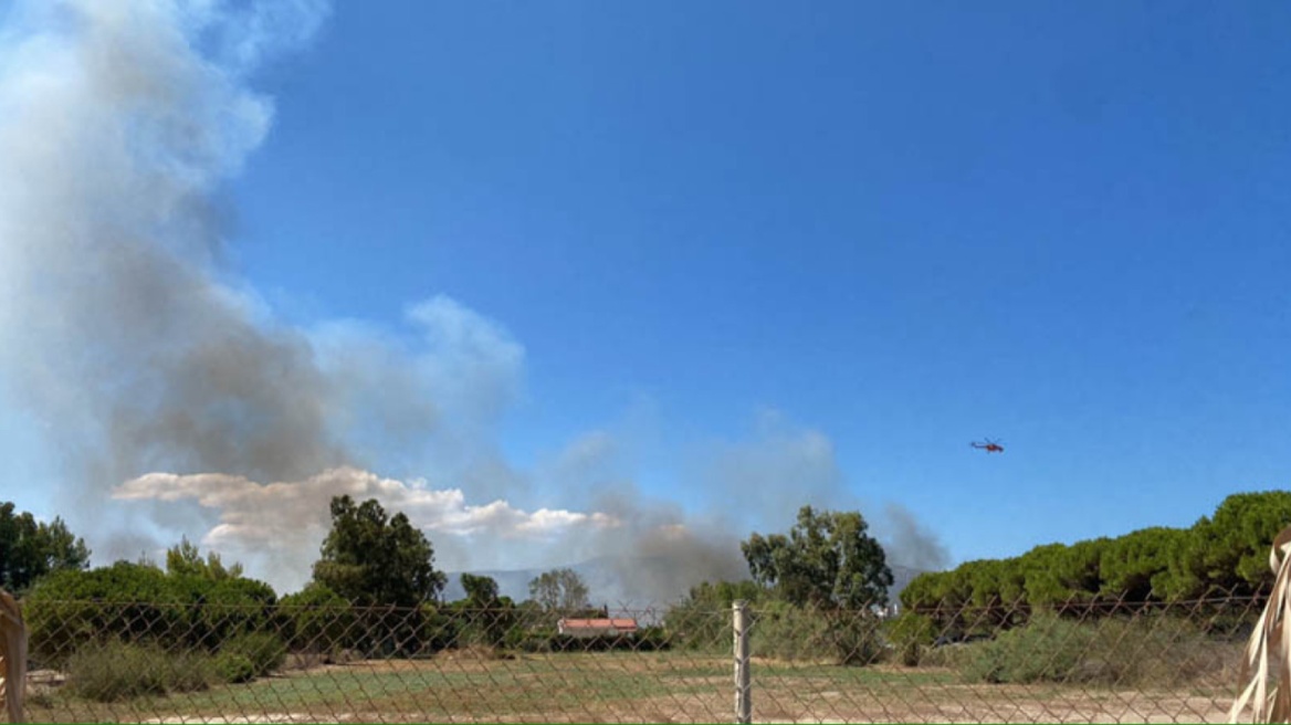 Πυρκαγιά σε χαμηλή βλάστηση στον Μαραθώνα Αττικής κοντά σε σπίτια