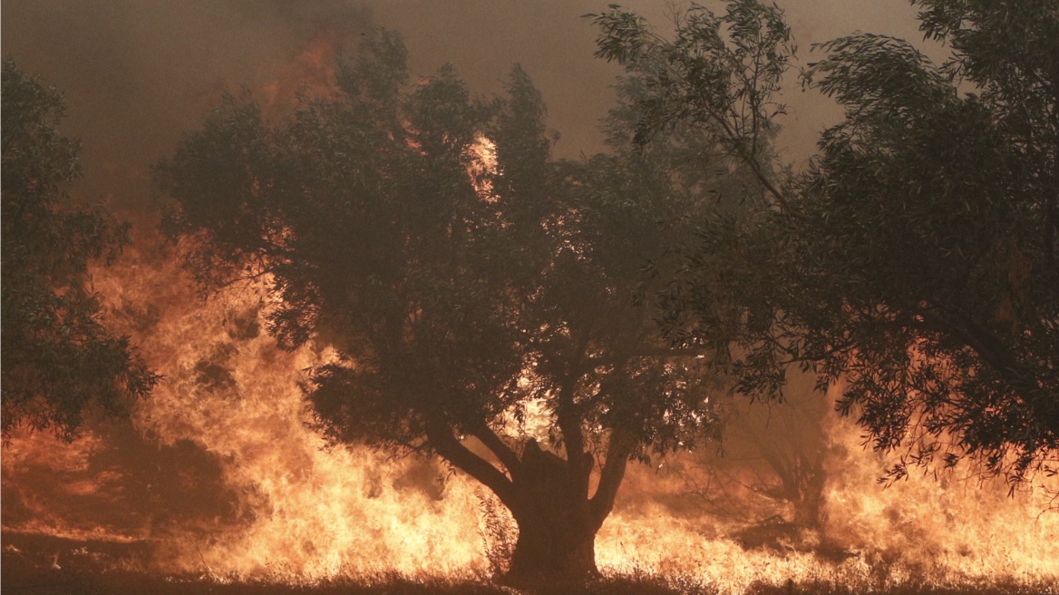 Ενισχύθηκαν οι δυνάμεις στην πυρκαγιά στη Φυλή – Μήνυμα του 112 για εκκένωση – Σε εξέλιξη πυρκαγιές σε Έβρο, Χαλκιδική, Ασπρόπυργο και Μυτιλήνη