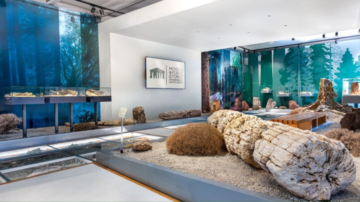 Εκδήλωση του Μουσείου Φυσικής Ιστορίας Απολιθωμένου Δάσους Λέσβου για το νέο πάρκο απολιθωμάτων στην περιοχή Ακρόχειρας