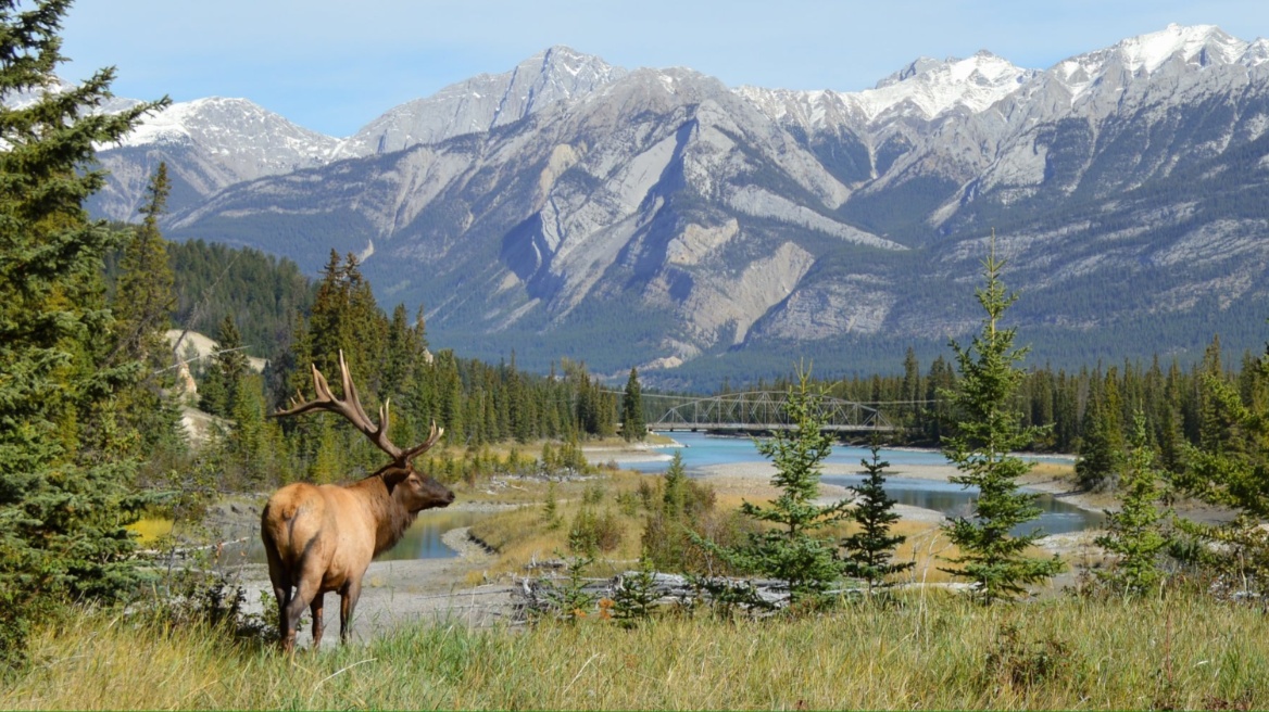 Καναδάς: Ιδρύθηκε παγκόσμιο ταμείο για την προστασία της φύσης