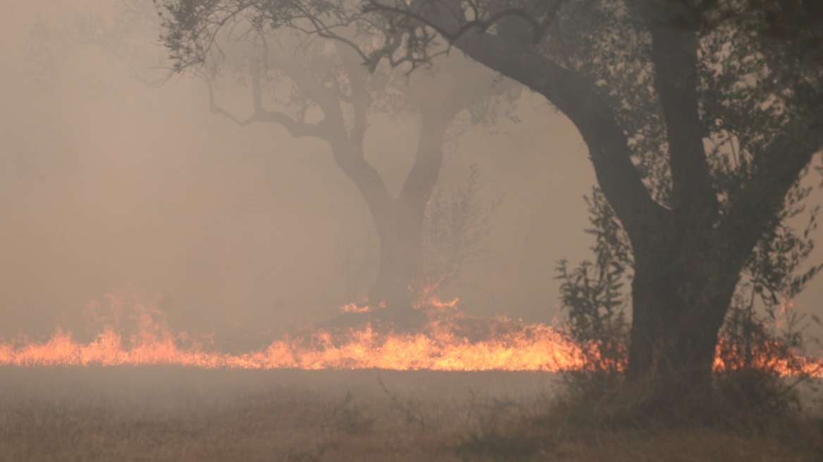 Ενισχύεται η ένταση και η έκταση του πύρινου μετώπου στον Έβρο – Οι φλόγες πλησιάζουν το χωριό Γιαννούλη