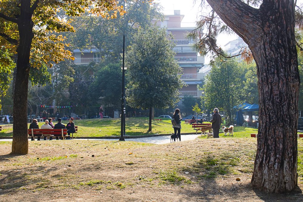 Θεσσαλονίκη: Επίθεση με οπαδικά κίνητρα στο πάρκο Κρήτης