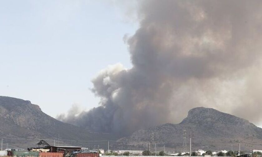 Πάρνηθα: Φωτιά στη Χασιά, μήνυμα από το 112 για εκκένωση της Φυλής