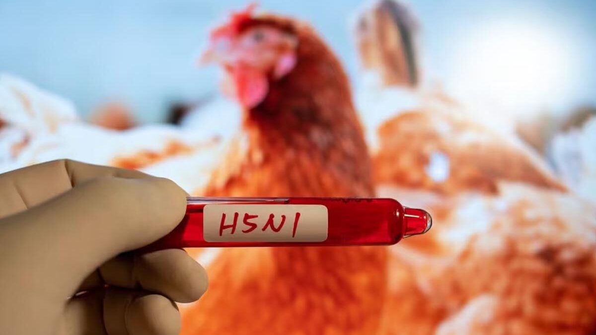 ΗΠΑ: Ίχνη του ιού H5N1 εντοπίστηκαν σε παστεριωμένο αγελαδινό γάλα