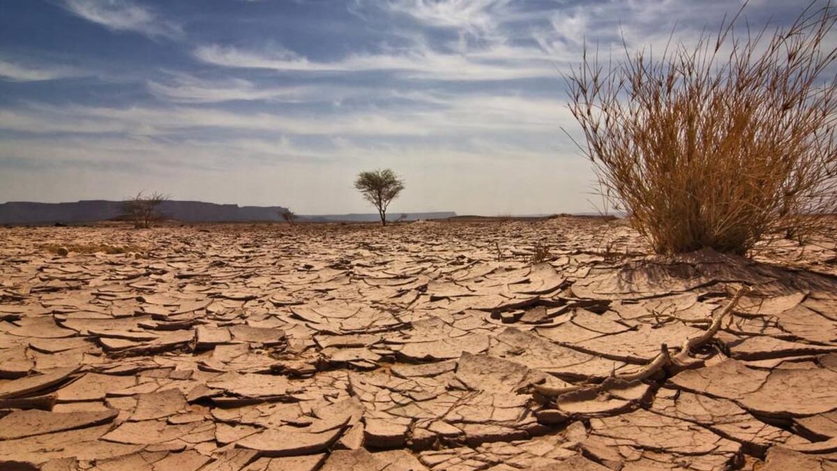 Κλίμα: Η “ανθρωπογενής” κλιματική αλλαγή προκάλεσε τον φονικό καύσωνα στο Σαχέλ