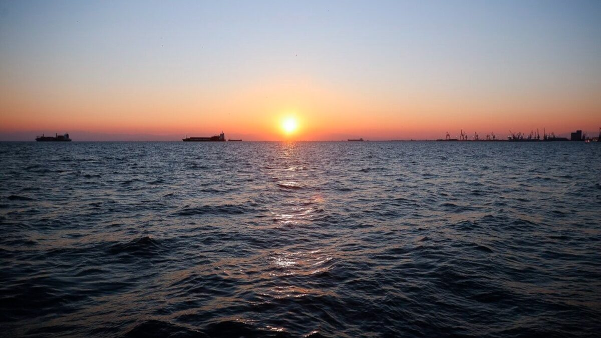 «Καυτό σημείο» για θαλάσσιους καύσωνες o Θερμαϊκός Κόλπος, σύμφωνα με έρευνα που δημοσιεύτηκε σε διεθνές επιστημονικό περιοδικό – Μαζική θνησιμότητα ζώντων οργανισμών