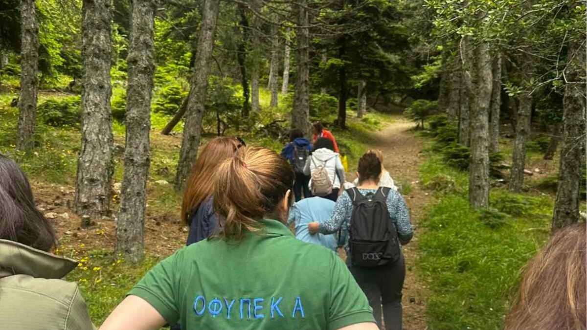 Εκπαιδευτικό πρόγραμμα του ΟΦΥΠΕΚΑ για την εξοικείωση μαθητών με το δάσος της Πάρνηθας