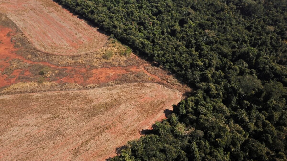 Η αποψίλωση εξαπλώνεται στη σαβάνα Σεχάντου της Βραζιλίας, ξεπερνά – για πρώτη φορά – αυτήν στο τροπικό δάσος του Αμαζονίου