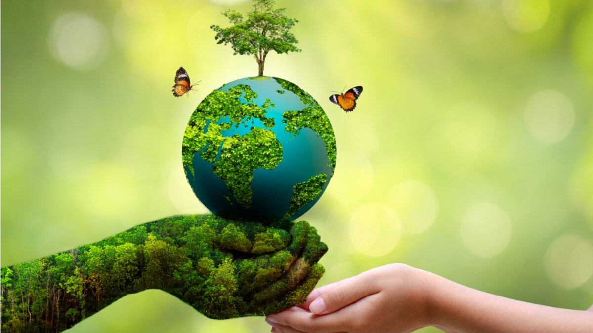 Παγκόσμια Ημέρα Περιβάλλοντος: Είναι καθήκον μας να προστατεύσουμε το περιβάλλον, αναφέρει σε ανακοίνωση του το ΕΚΑ –  Στόχος η περαιτέρω ανάπτυξη περιβαλλοντικής συνείδησης, δηλώνει ο υπουργός Παιδείας