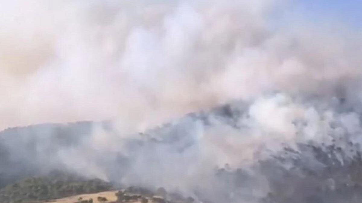 Σε εξέλιξη πυρκαγιές σε αγροτοδασικές εκτάσεις σε Ασπρόπυργο, Σπάρτη, Καλάβρυτα – Υπό μερικό έλεγχο πυρκαγιά στους Κομποτάδες Λαμίας
