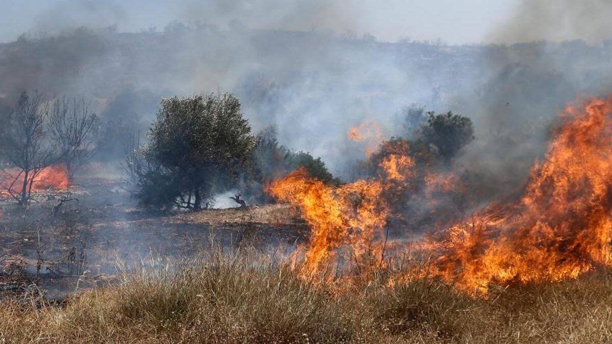 Χωρίς ενεργό μέτωπο οι πυρκαγιές σε Βάρης-Κορωπίου και Αργολίδα – Φωτιές σε Φανερωμένη Ασπροπύργου και Σχιστό Κορυδαλλού