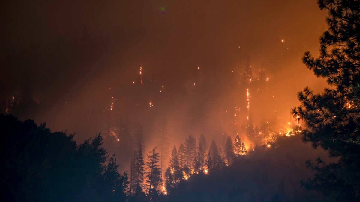 Πολύ υψηλός κίνδυνος πυρκαγιάς σε 8 περιοχές της χώρας σήμερα – Συστάσεις της Πολιτικής Προστασίας