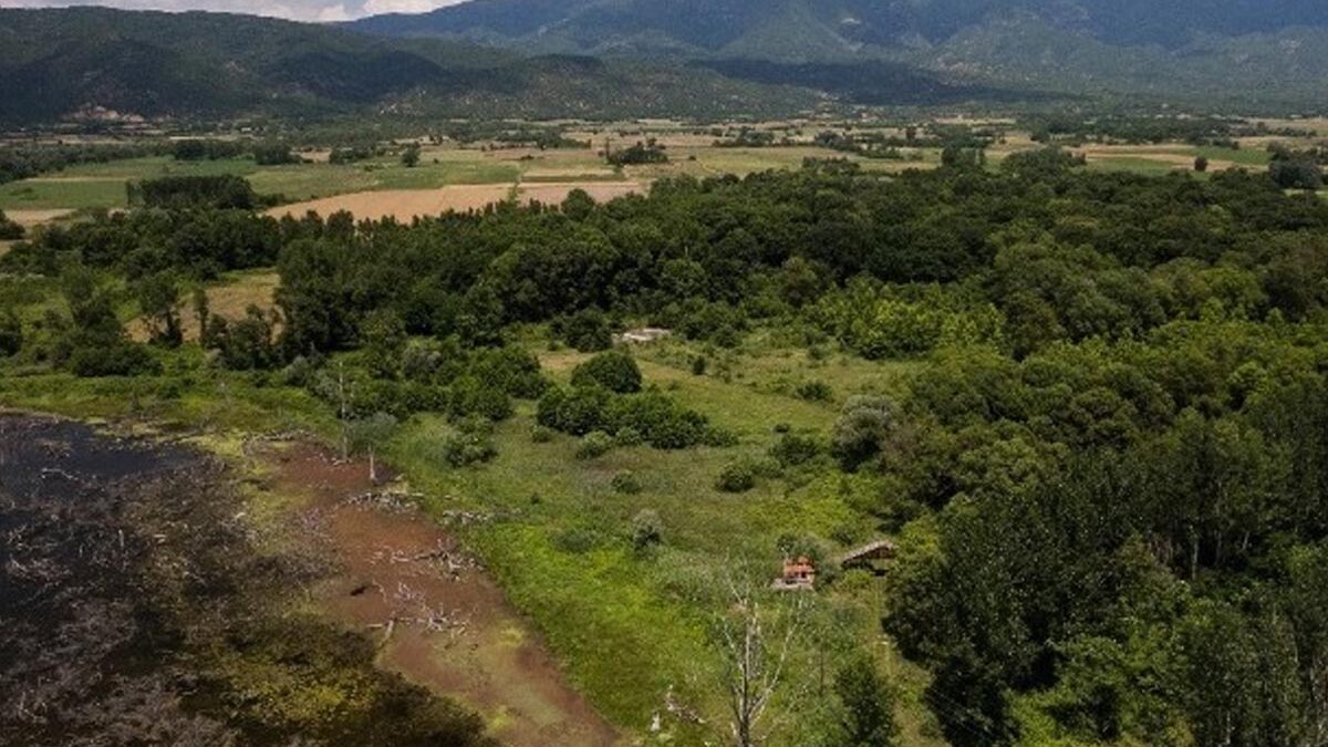 Η φωτιά στις Μουριές Κιλκίς δεν πείραξε το Δάσος των Μουριών