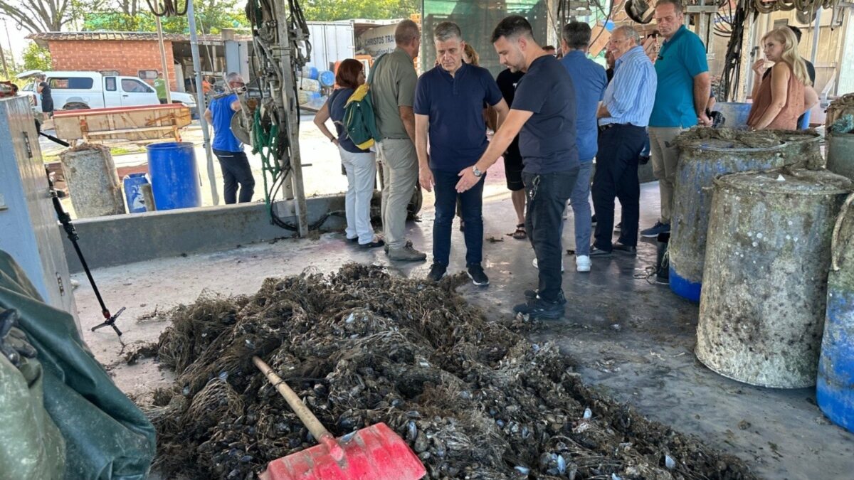 Πρόταση για τη στήριξη των μυδοκαλλιεργητών του Θερμαϊκού κατέθεσε η Περιφέρεια Κ. Μακεδονίας – «Θέλουμε να αυξηθεί η παραγωγή μυδιού» είπε ο Τσιάρας