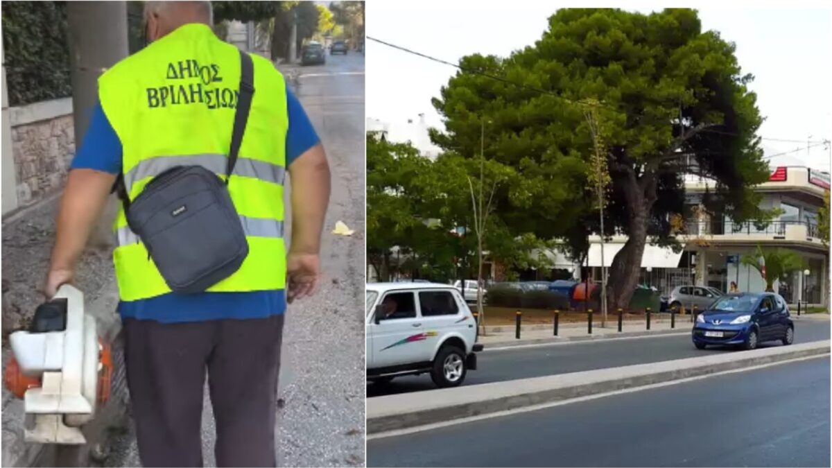 Δήμος Βριλησσίων: Επιχειρήσεις καθαριότητας, δεντροφύτευση στη λεωφόρο Πεντέλης – Συναντήσεις της Σχολής Γονέων του Δήμου