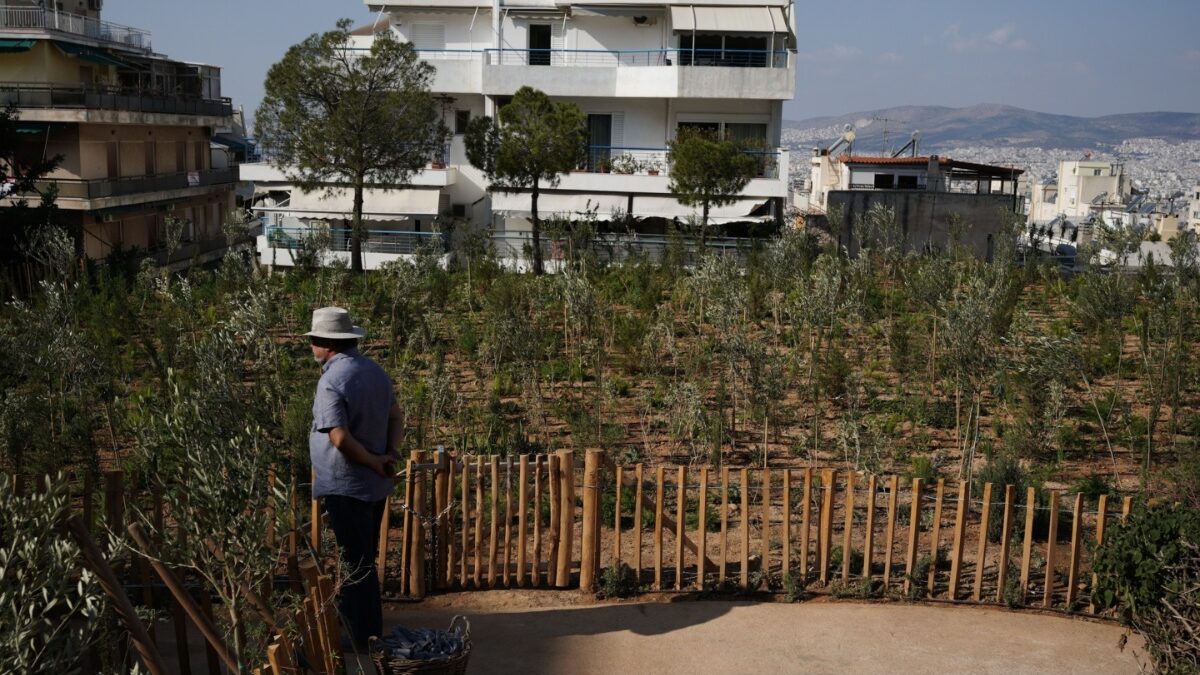 Εγκαινιάστηκε το 1ο μικροδάσος στην Κυψέλη: «Θα αξιοποιήσουμε κάθε σπιθαμή γης για να αυξήσουμε το πράσινο στην Αθήνα», δήλωσε ο Δούκας