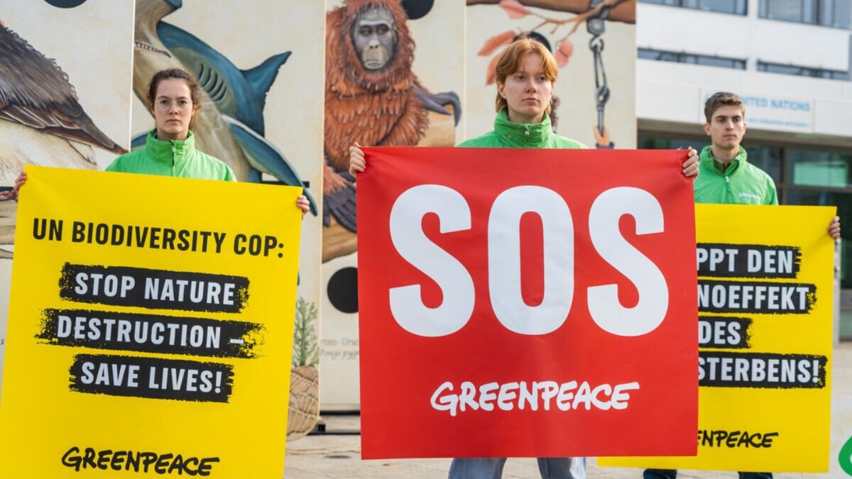 Greenpeace: Η Διάσκεψη για τη βιοποικιλότητα του ΟΗΕ είναι μία ευκαιρία για την αναγέννηση της φύσης