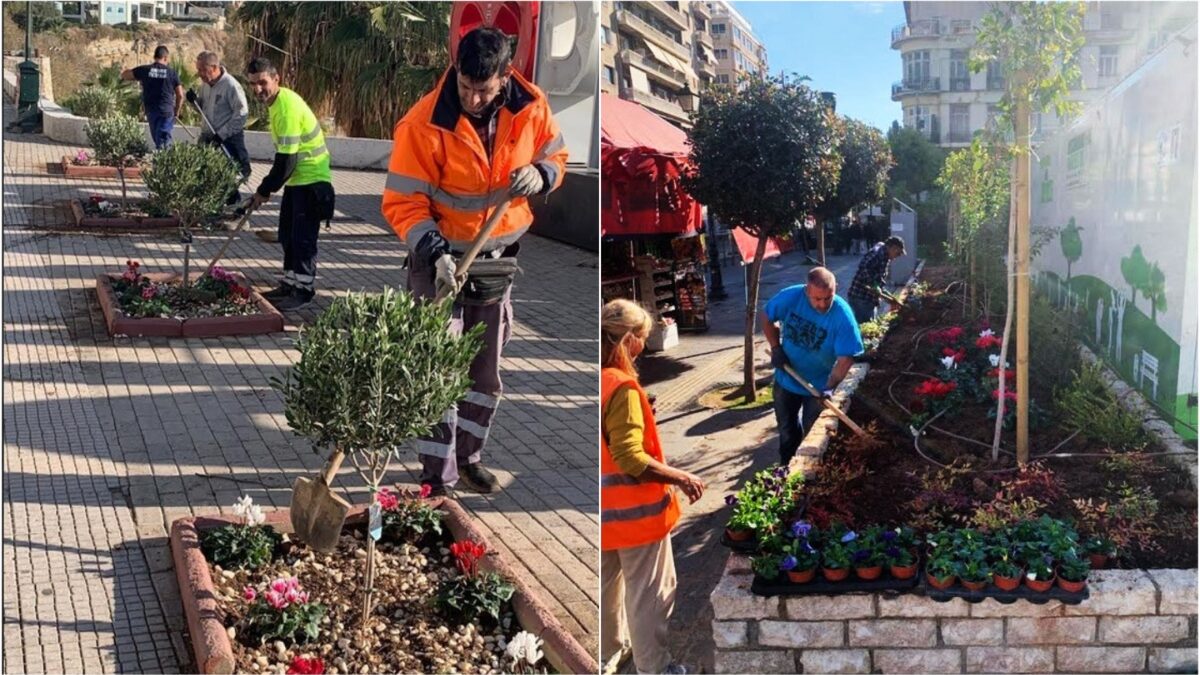 Φυτεύσεις εποχικών λουλουδιών και αναπλάσεις πρασίνου από τον Δήμο Πειραιά