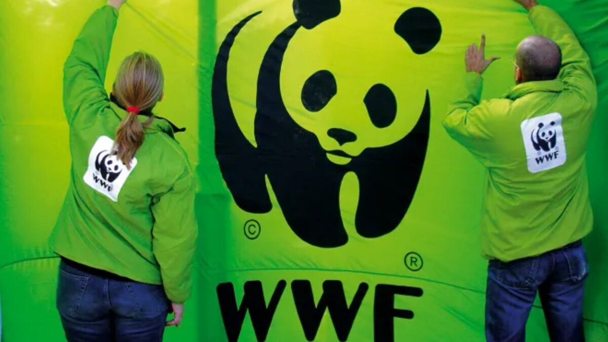 WWF: ΜΚΟ και επιχειρήσεις καλούν την Ευρωπαϊκή Επιτροπή να τηρήσει τις περιβαλλοντικές δεσμεύσεις της