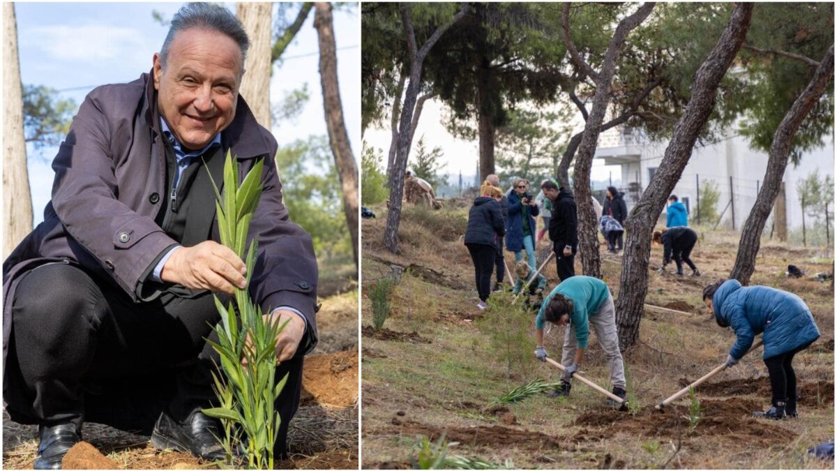 Ο δήμαρχος Θεσσαλονίκης για τις φυτεύσεις 7.000 δέντρων και τα νέα έργα που θα γίνουν στην πόλη το 2025