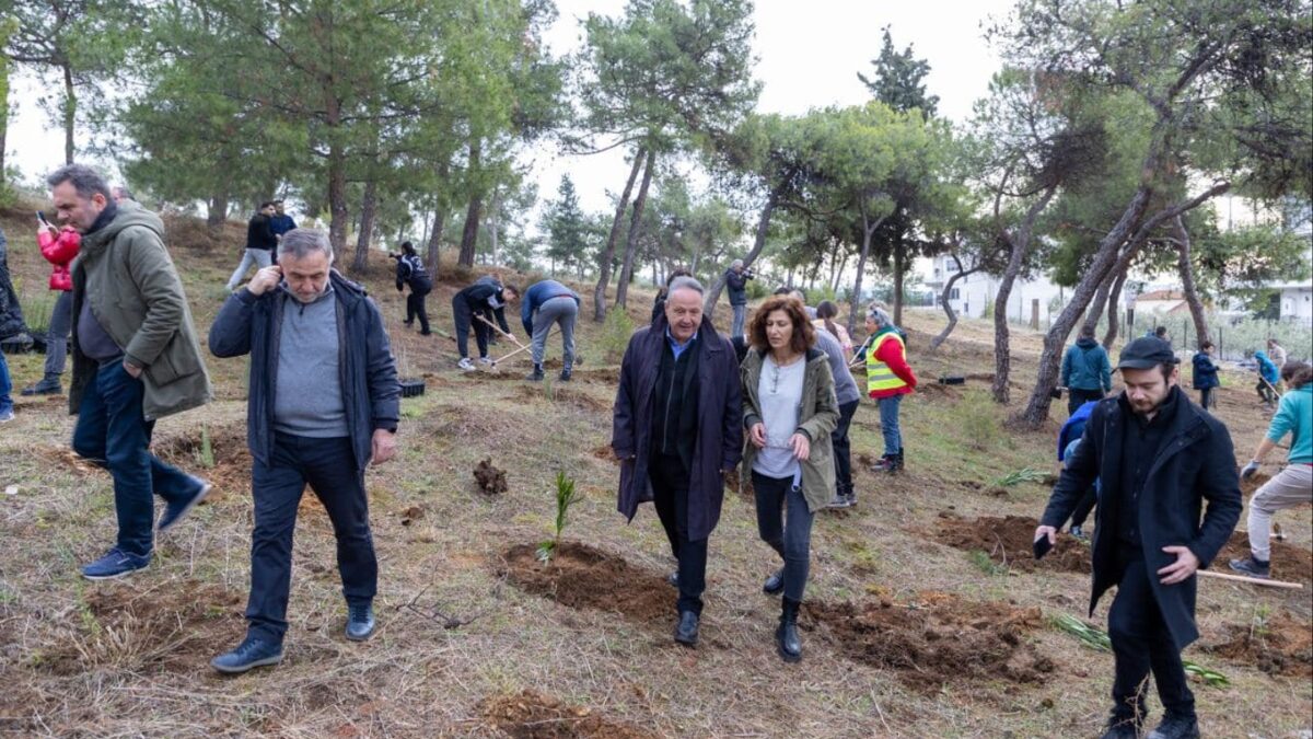 Δήμος Θεσσαλονίκης: Σε 1.000 τα νέα δέντρα που φυτεύτηκαν στην Τριανδρία