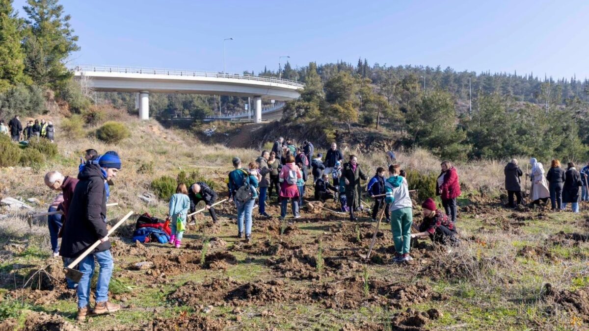 Δενδροφύτευση στο υπό διαμόρφωση περιαστικό δάσος στην περιοχή της Τριανδρίας, έκτασης 20 στρεμμάτων