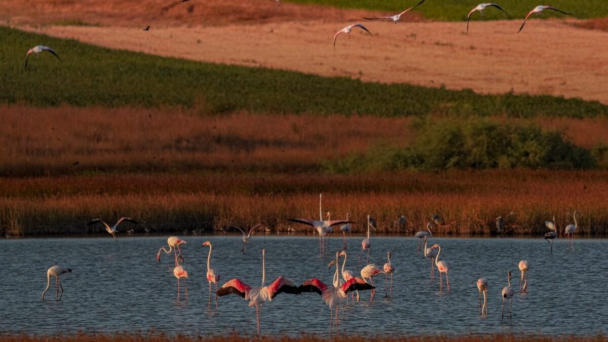 H αξιοποίησή των περιοχών Natura 2000 μπορεί να συνεισφέρει 2 δισ. ευρώ τον χρόνο