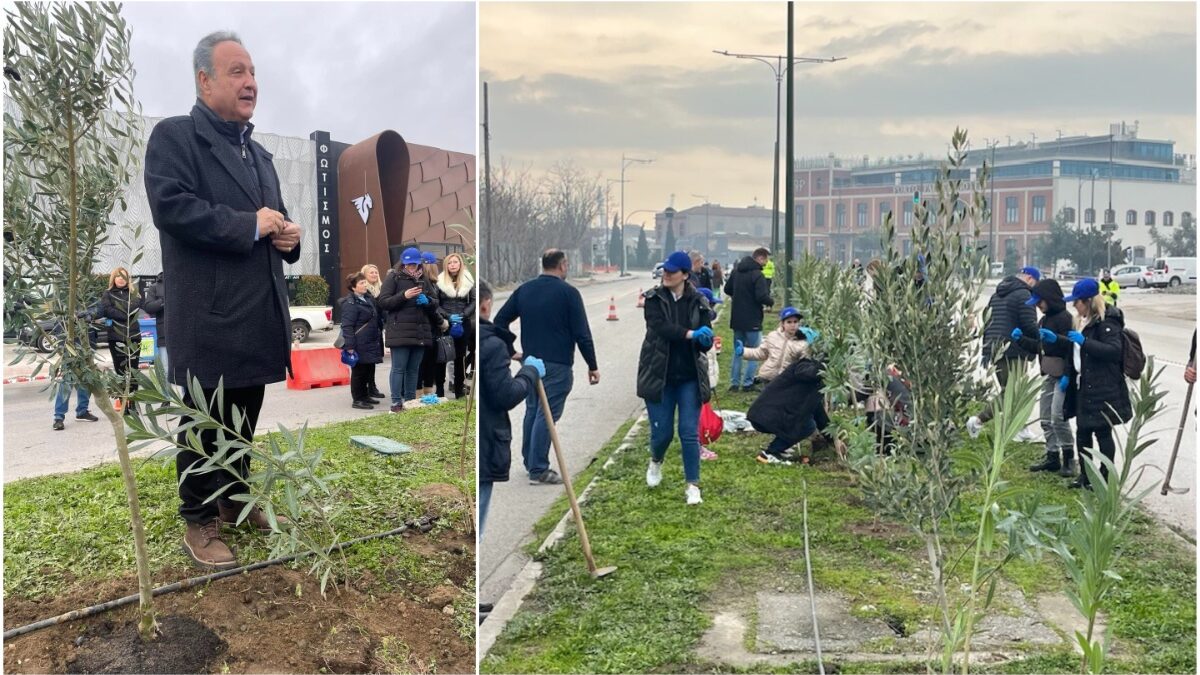 Δήμος Θεσσαλονίκη: Εκατό ελιές και χίλιες τριακόσιες πικροδάφνες φυτεύτηκαν στην δυτική είσοδο της πόλης – Φωτογραφίες