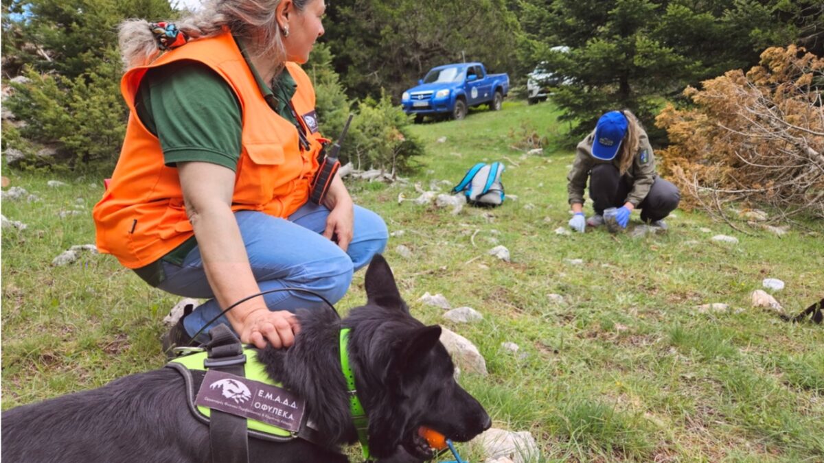 Για πρώτη φορά προσλήψεις μόνιμου προσωπικού για τις ανάγκες διαχείρισης των προστατευόμενων περιοχών της Ελλάδας