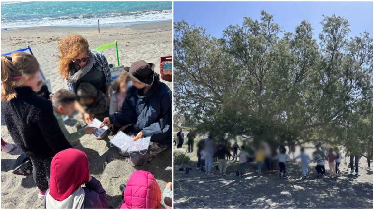 Δράση περιβαλλοντικής ευαισθητοποίησης στο πλαίσιο προγράμματος αδελφοποίησης σχολείων στα Σφακιά