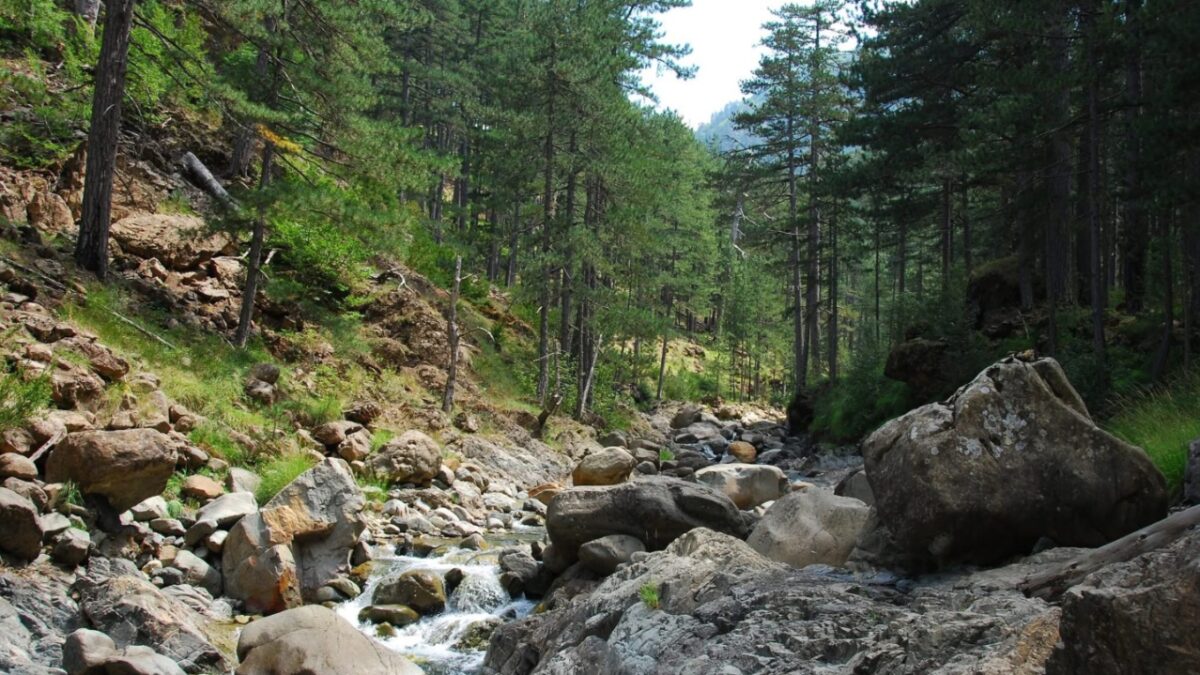 ΟΦΥΠΕΚΑ: Ευρωπαϊκή ημέρα NATURA 2000 με εκδηλώσεις σε όλη την Ελλάδα