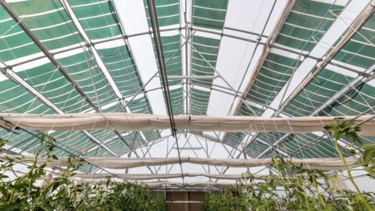 Agrivoltaics: Τα φωτοβολταϊκά 3ης γενιάς για τον αγροτικό τομέα παρουσιάζονται  στην AgroExpo 2025