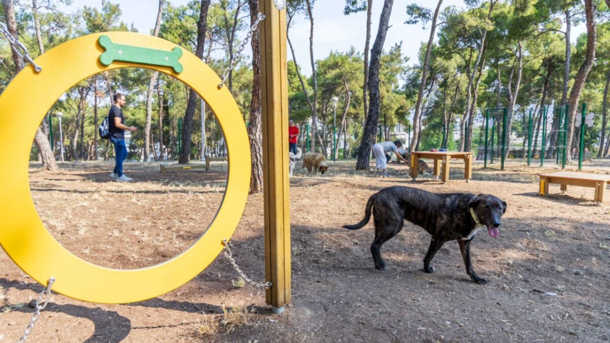 Παραδόθηκαν και τα πέντε πιστοποιημένα πάρκα σκύλων στον Δήμο Θεσσαλονίκης – Βρέθηκαν οι χώροι για τα επόμενα πέντε