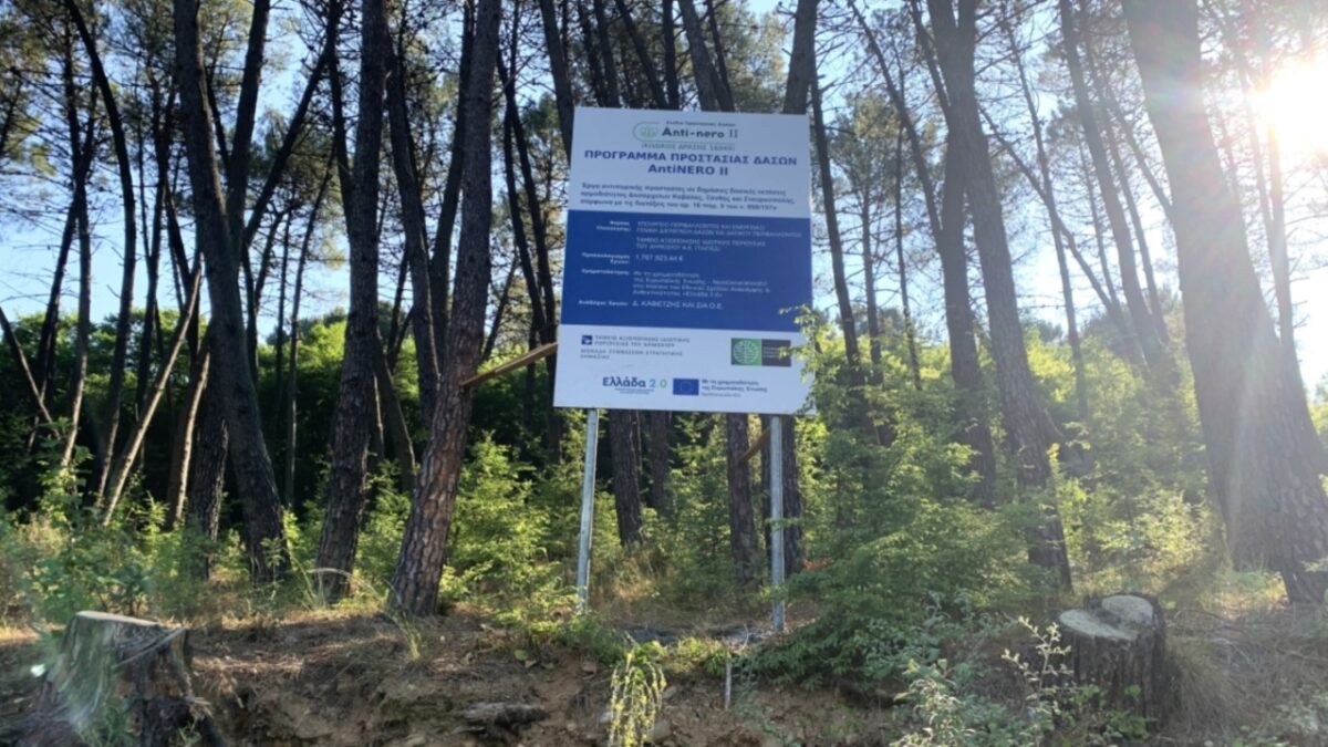 ΥΠΕΝ: «Το πρόγραμμα Antinero και η προστασία των δασών μας δεν πρέπει να γίνονται πεδίο μικροπολιτικής εκμετάλλευσης»