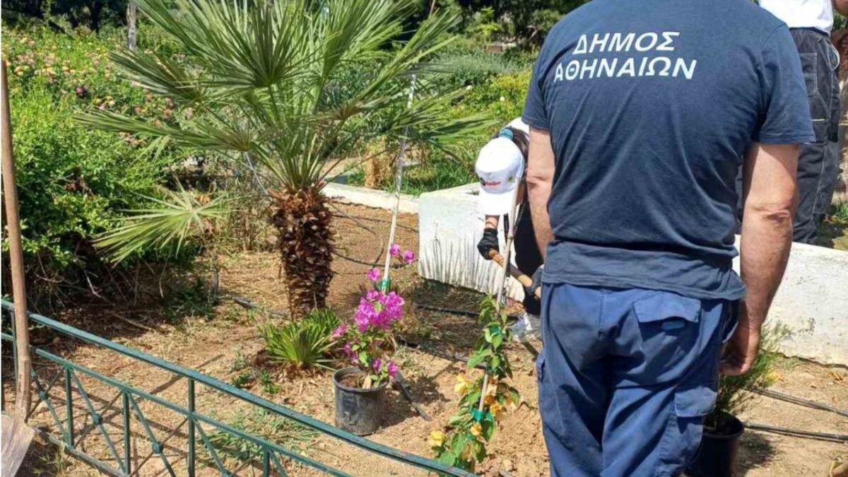 Δράσεις του δήμου Αθηναίων για το περιβάλλον σε πλατεία Μπέη και λόφο Λαμπράκη