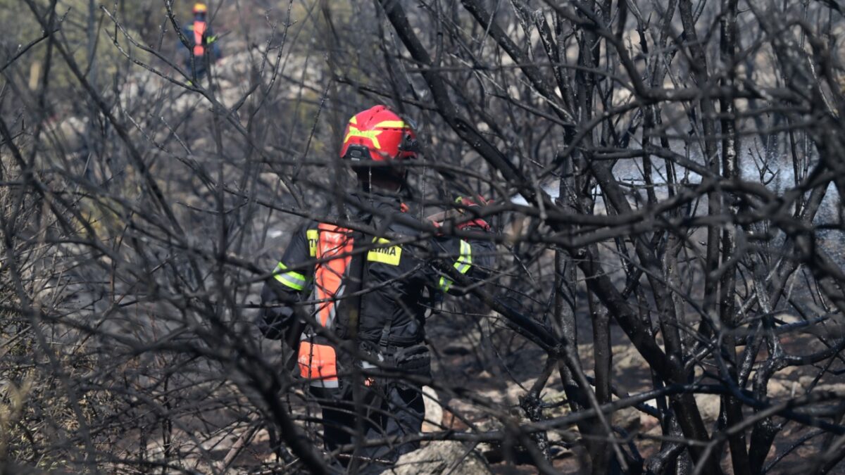 Πάνω από 55.500 στρέμματα η πληγείσα έκταση από τις πυρκαγιές σε Κύθηρα, Εύβοια, Αττική, Χανιά και Μεσσηνία