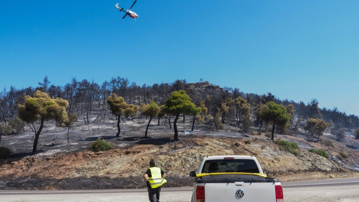 Φωτιές σε Εύβοια, Αττική και Κύθηρα – Κάηκαν 40.000 στρέμματα σε 48 ώρες