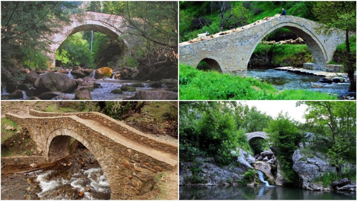 Τα πέτρινα γεφύρια του Δήμου Μετεώρων – Μνήμη, αρχιτεκτονική και προσπάθειες διάσωσης
