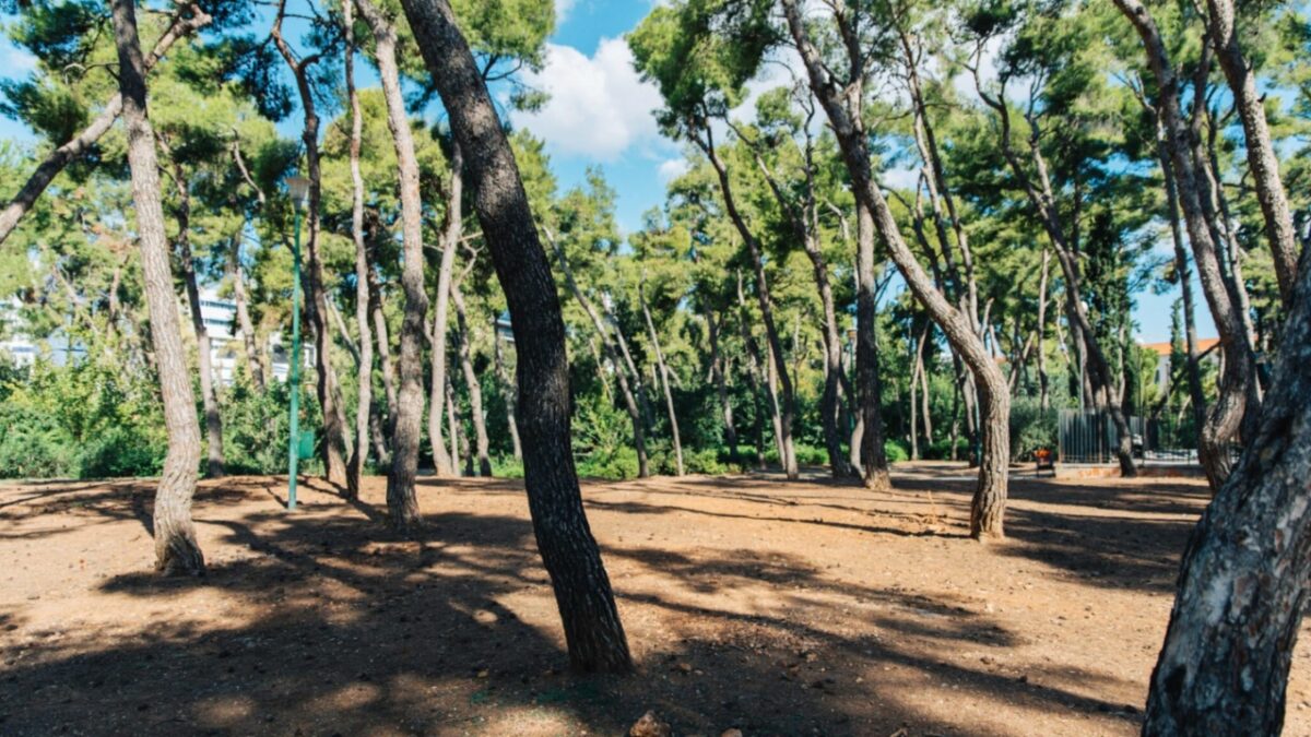 Κλειστό το Άλσος Χωροφυλακής μέχρι νεωτέρας λόγω έρευνας για παράνομη ταφή ζώων – Η ανάρτηση Δούκα