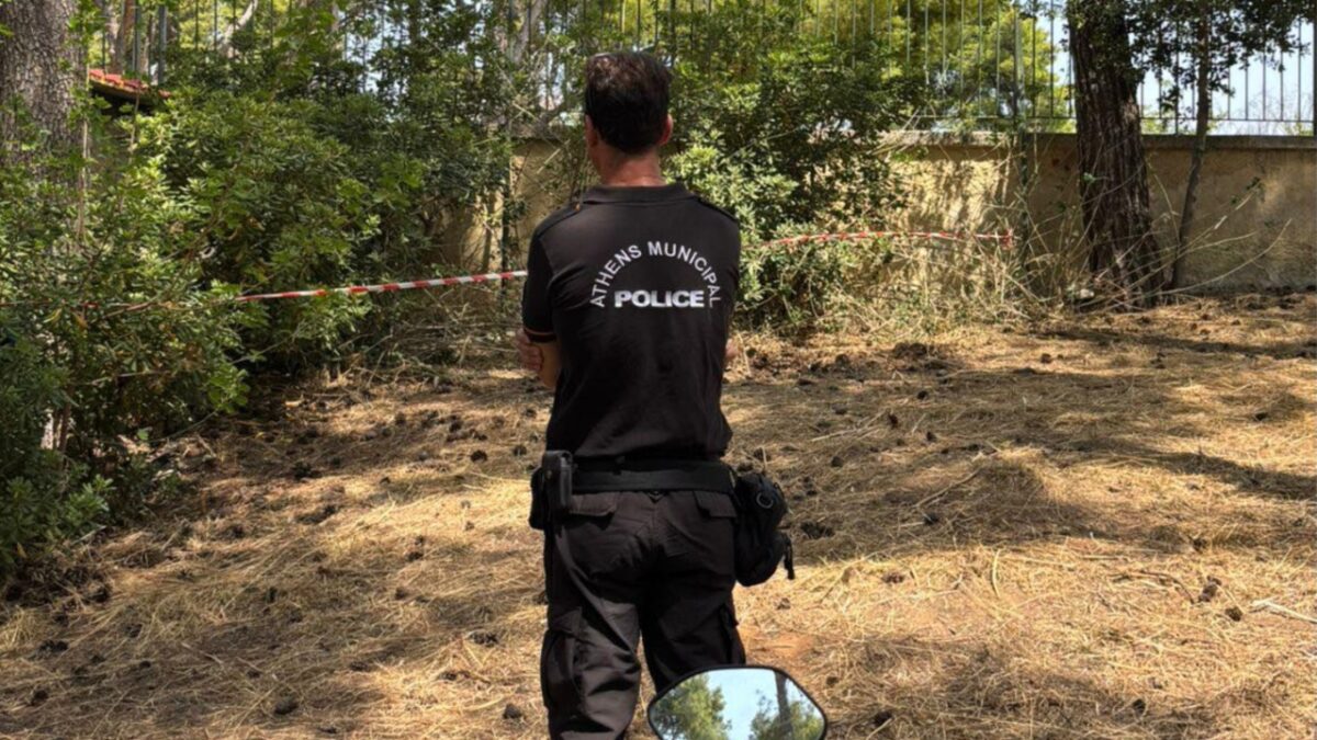 Καταγγελία του δήμου Αθηναίων για παράνομο χώρο ταφής ζώων συντροφιάς