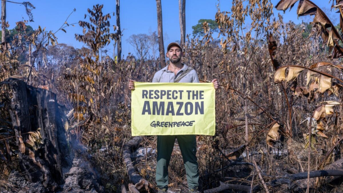 Greenpeace: Εννέα στους δέκα πολίτες θέλουν την προστασία των δασών για την καταπολέμηση της κλιματικής κρίσης