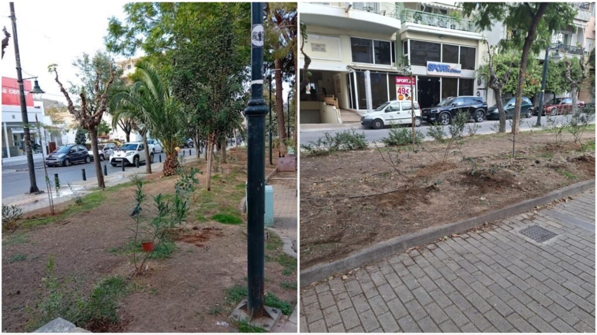 Δήμος Βύρωνα: Ενίσχυση του πρασίνου στο Πάρκο Καραολή & Δημητρίου με 150 νέες φυτεύσεις