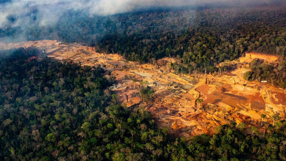 Η Βραζιλία καταγράφει τη μεγαλύτερη μείωση των εκπομπών αερίων χάρη στην επιβράδυνση της αποψίλωσης των δασών